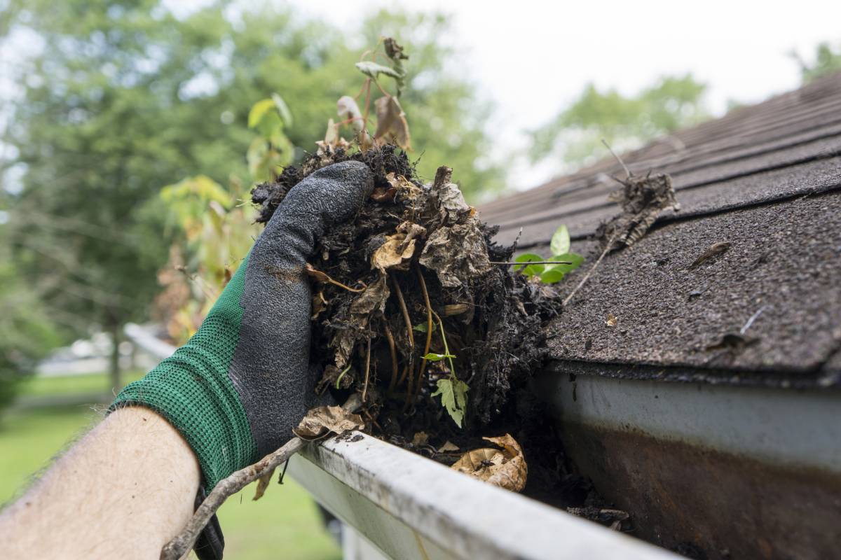 Gutter Clear Out